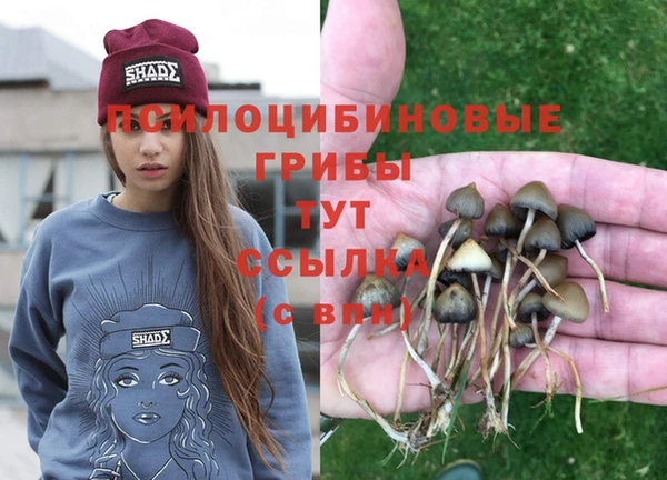 гашиш Арсеньев