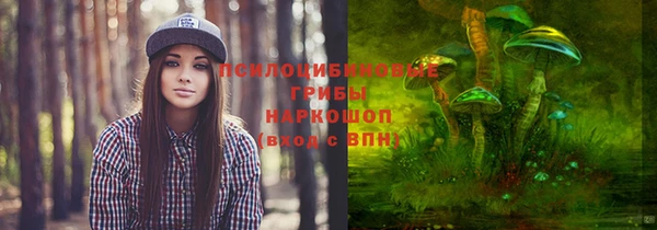 метадон Армянск