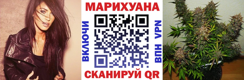 Бошки марихуана THC 21%  закладки  Малгобек 